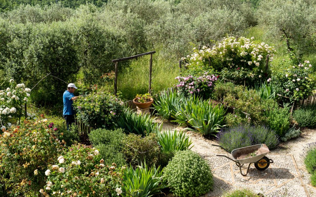 The Gardens