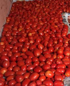 passata di pomodoro